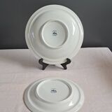 Blauw Delft decorative plates