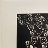 Mario avati (1921-2009), butterflies, black manner, 1970