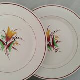 Old Earthenware Dinner Plates KG Lunéville Vintage Tulip Decor