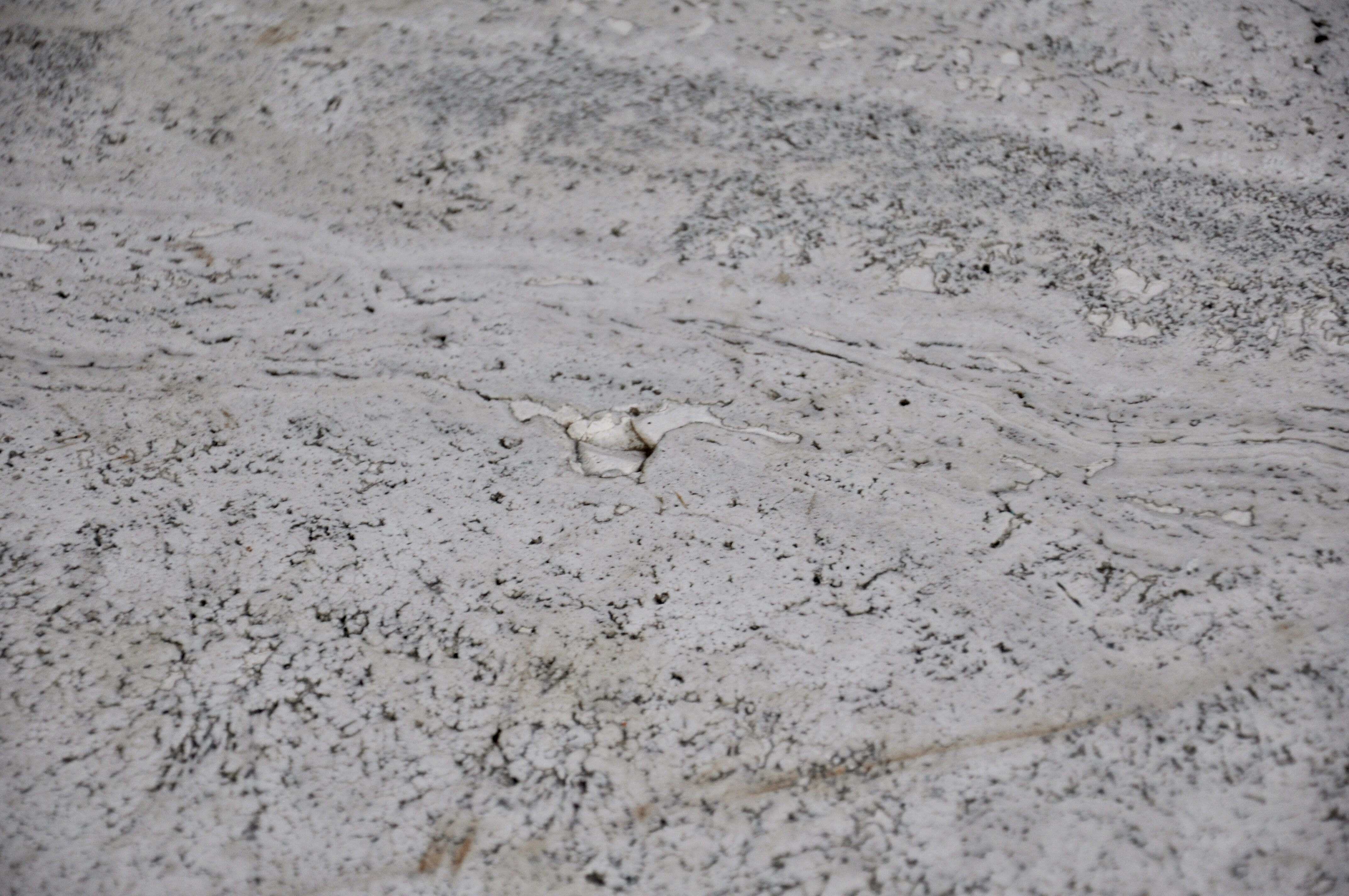 Dinnig Table by Osvaldo Borsani for Tecno, 1970s