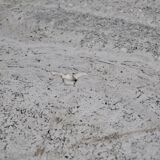 Dinnig Table by Osvaldo Borsani for Tecno, 1970s