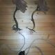 Pair of brass and glass flowers sconces
