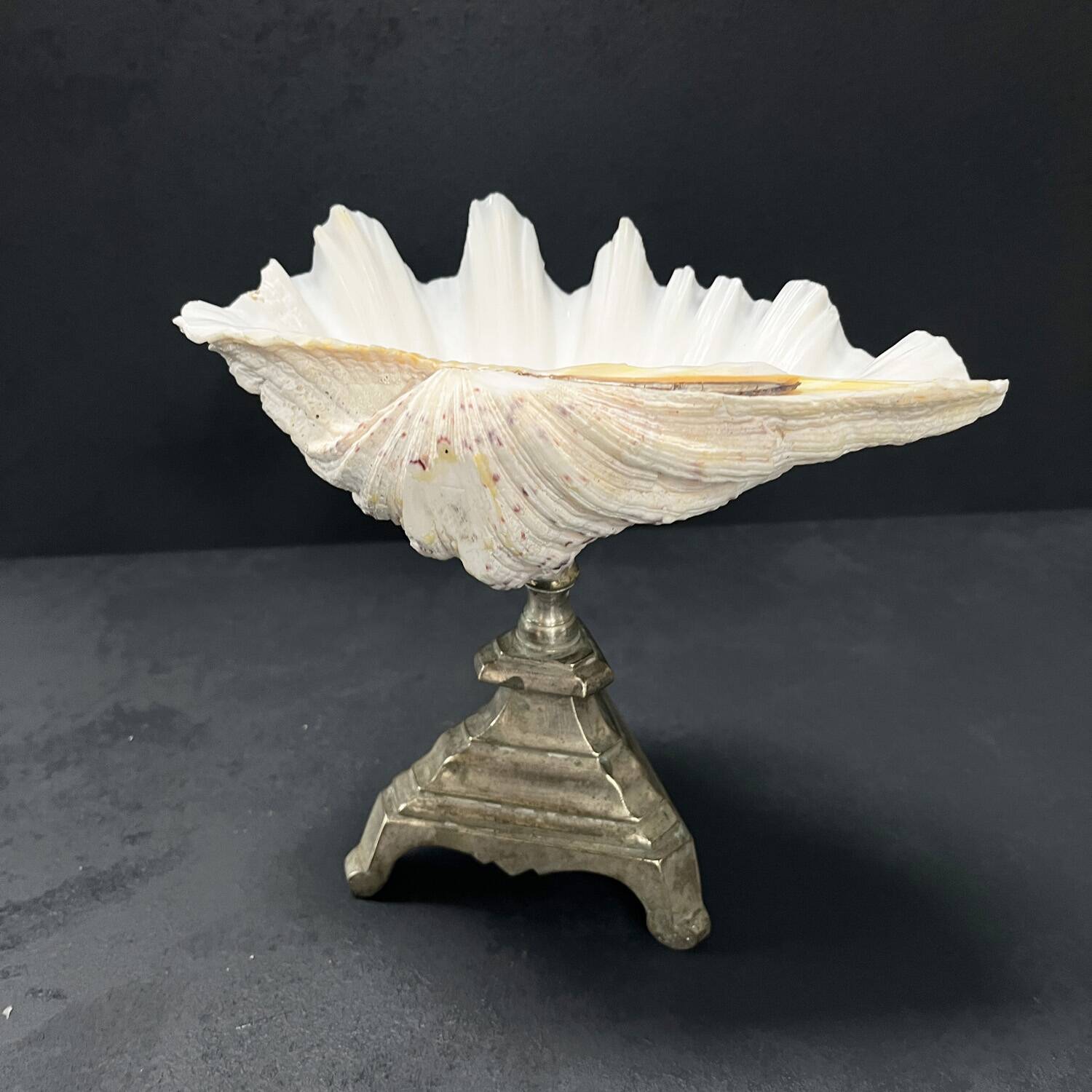 Shell-shaped trinket dish on a base