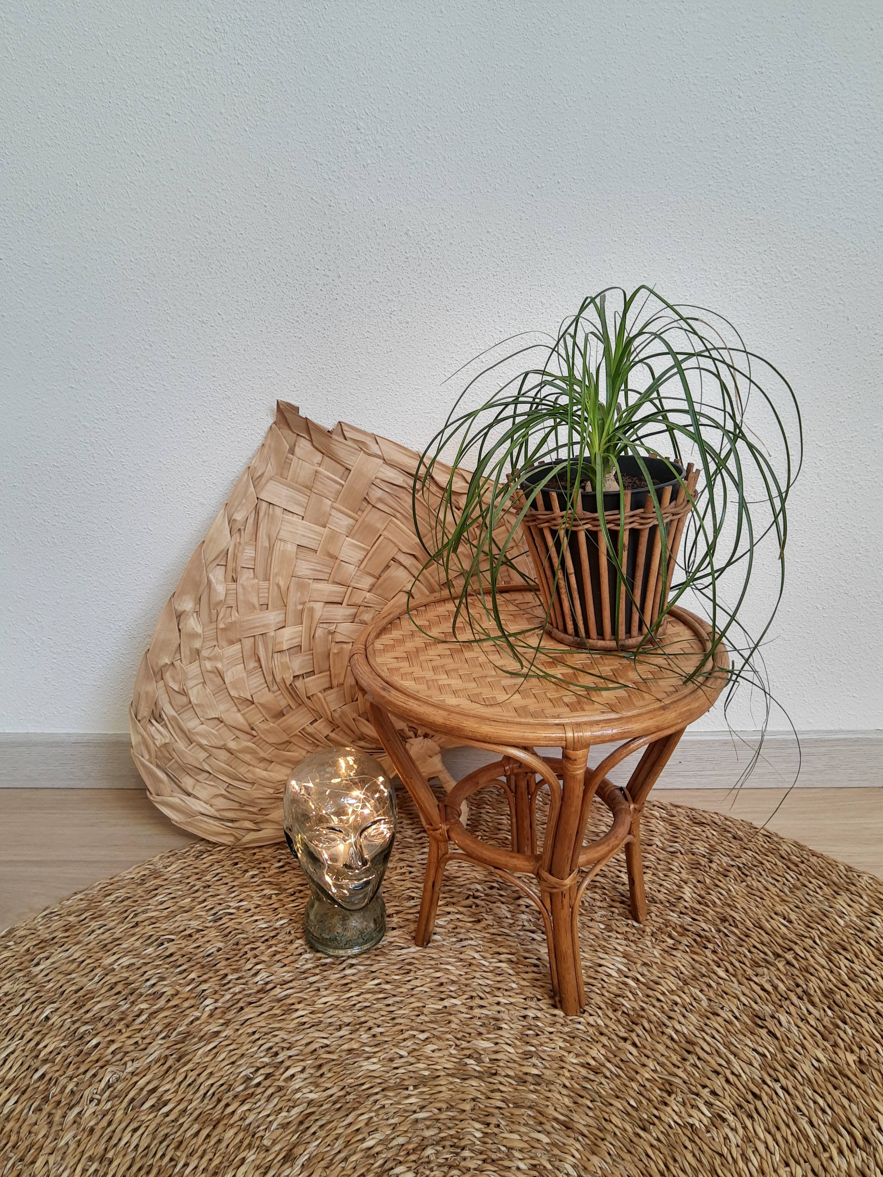 Plant holder in rattan and vintage bamboo