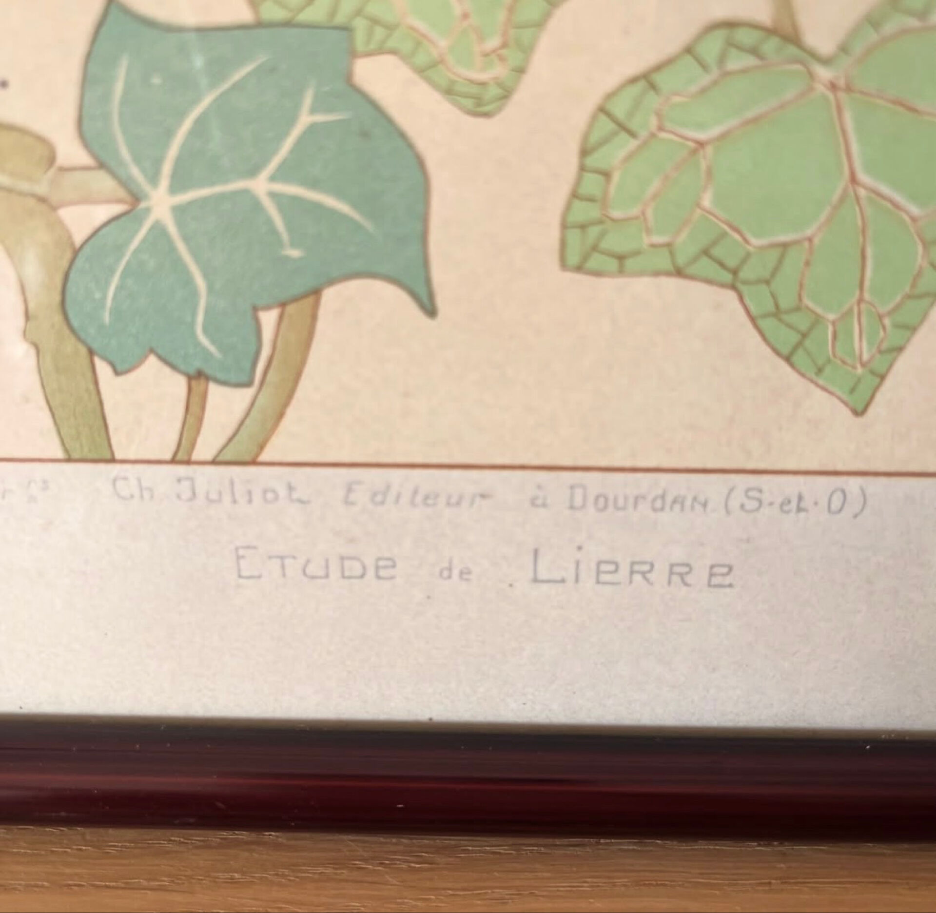 4 floral lithographs 1900