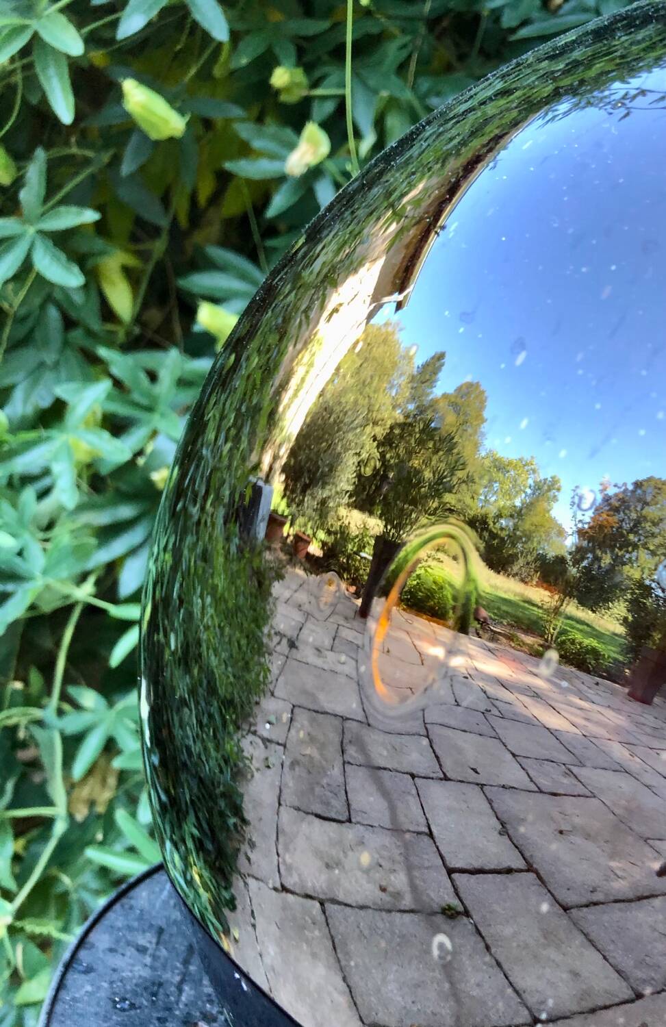 Amber and bubbled Dame Jeanne