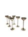 Vintage Polish liquor set from Imago Artis, 1970s, set of 6