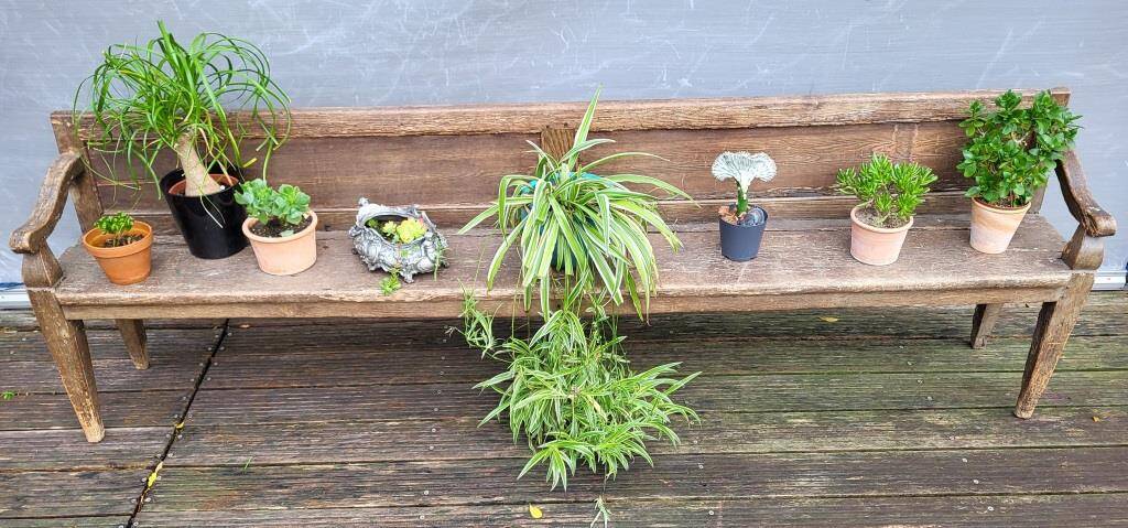 19th-century church pew, 245 cm long