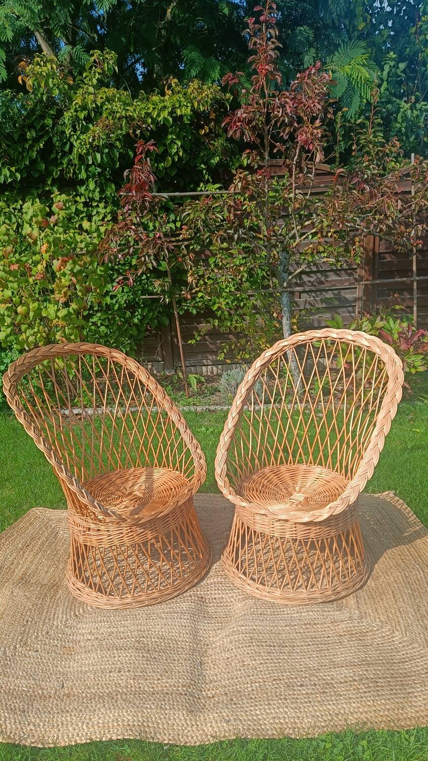 Rattan and wicker basket chairs