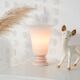 Pink opaline basin lamp