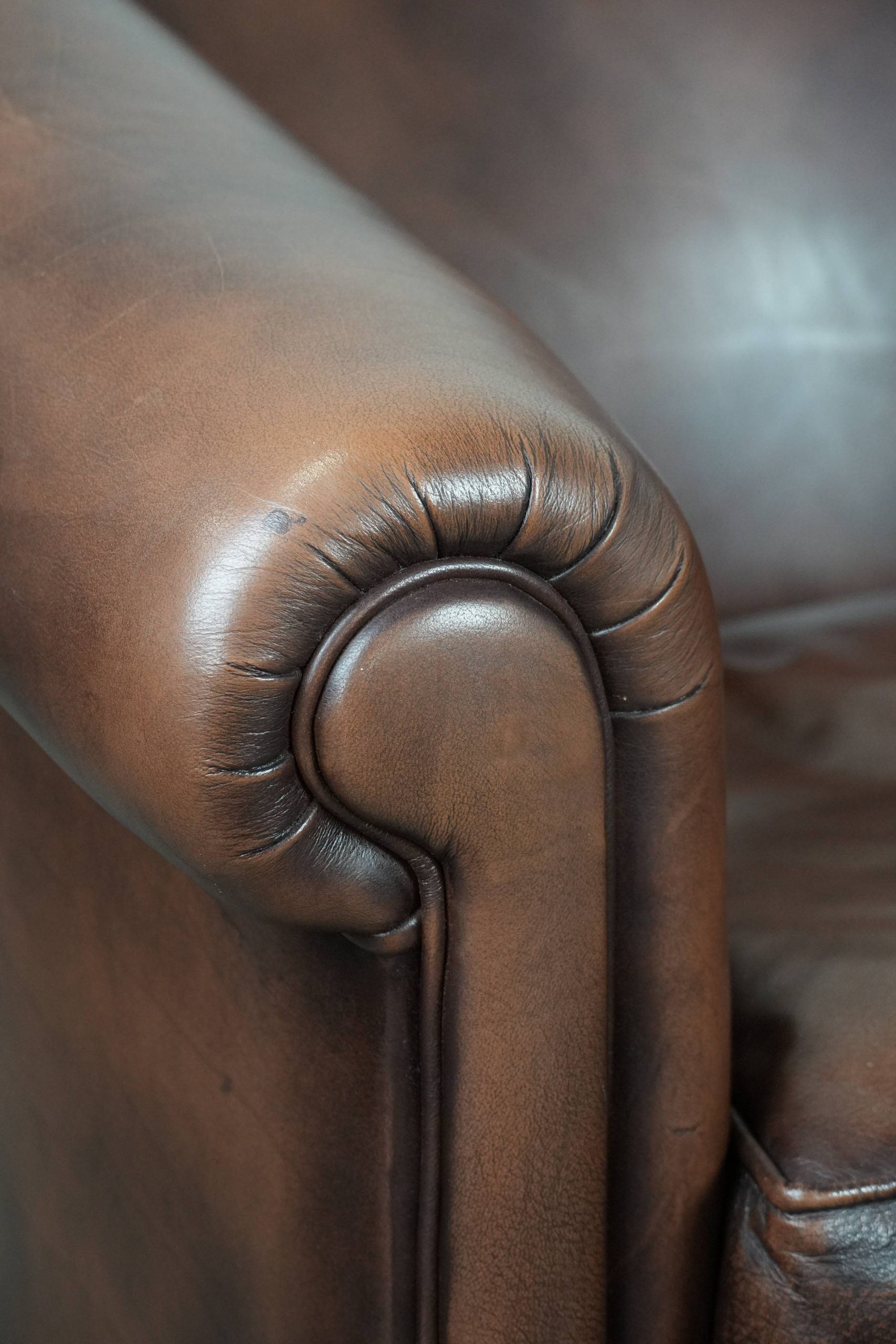 Great luxurious brown cowhide club armchair with matching piping