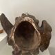 Old plaster angel head