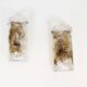 Pair of Murano glass wall lamps by AV Mazzega