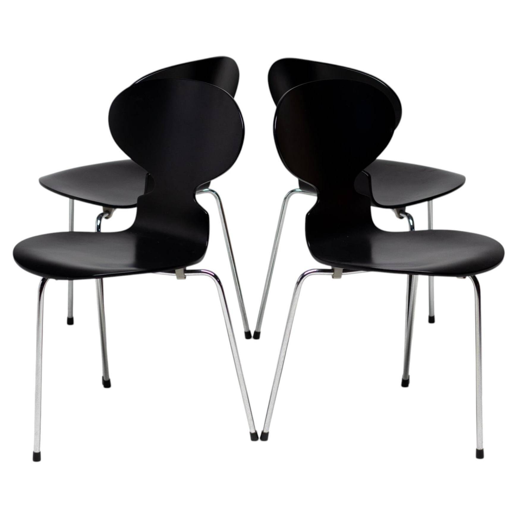 Ensemble de quatre chaises 3100 "Ant" - Arne Jacobsen pour Fritz Hansen, Danemark