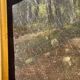 Old painting from the Barbizon school signed / oil on canvas signed