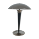 Vintage liner lamp