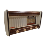 TSF Radio Perfecta Station