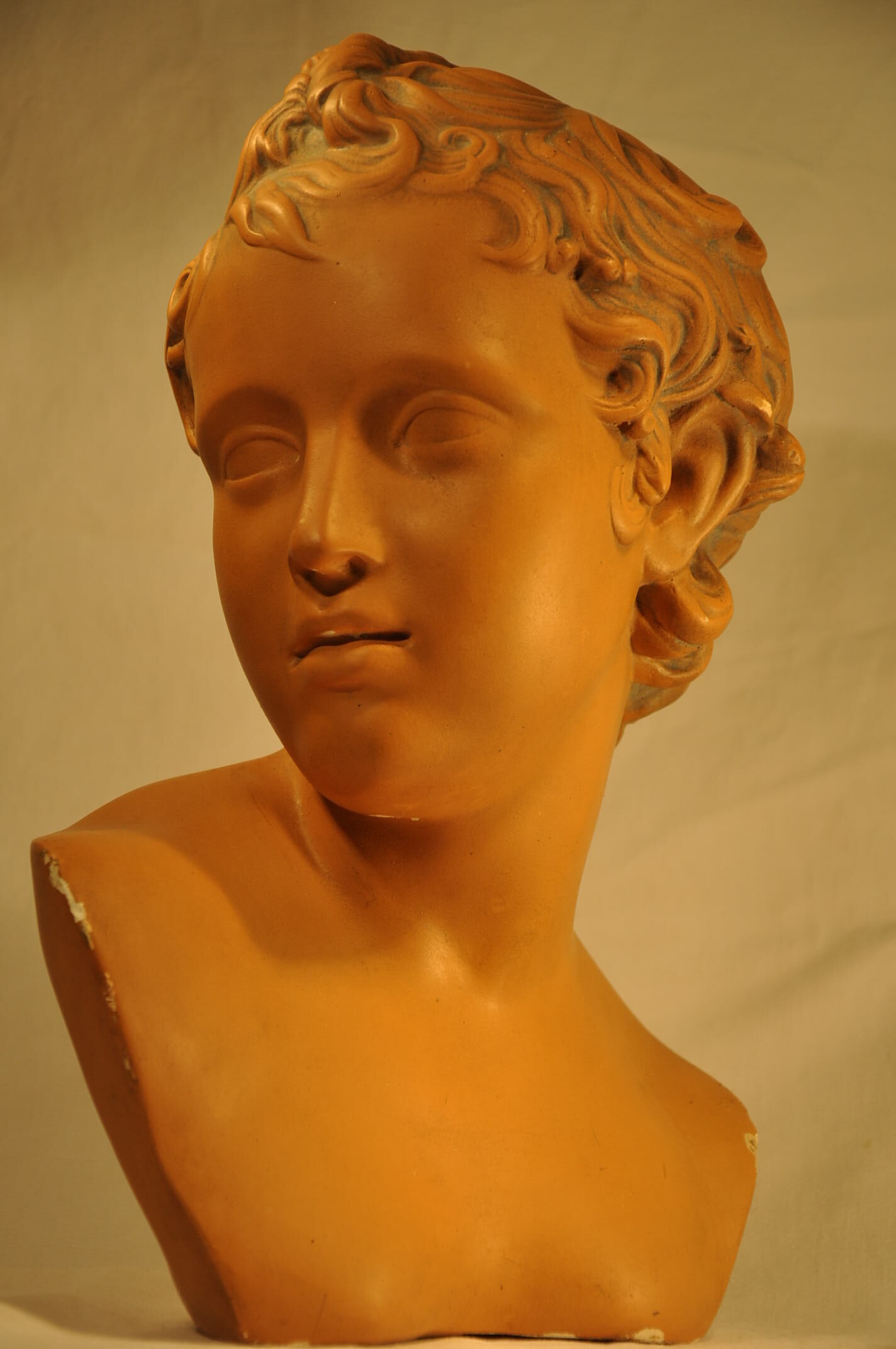Plaster cherub bust
