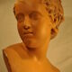 Plaster cherub bust