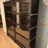 Black Globe Wernicke Bookcase