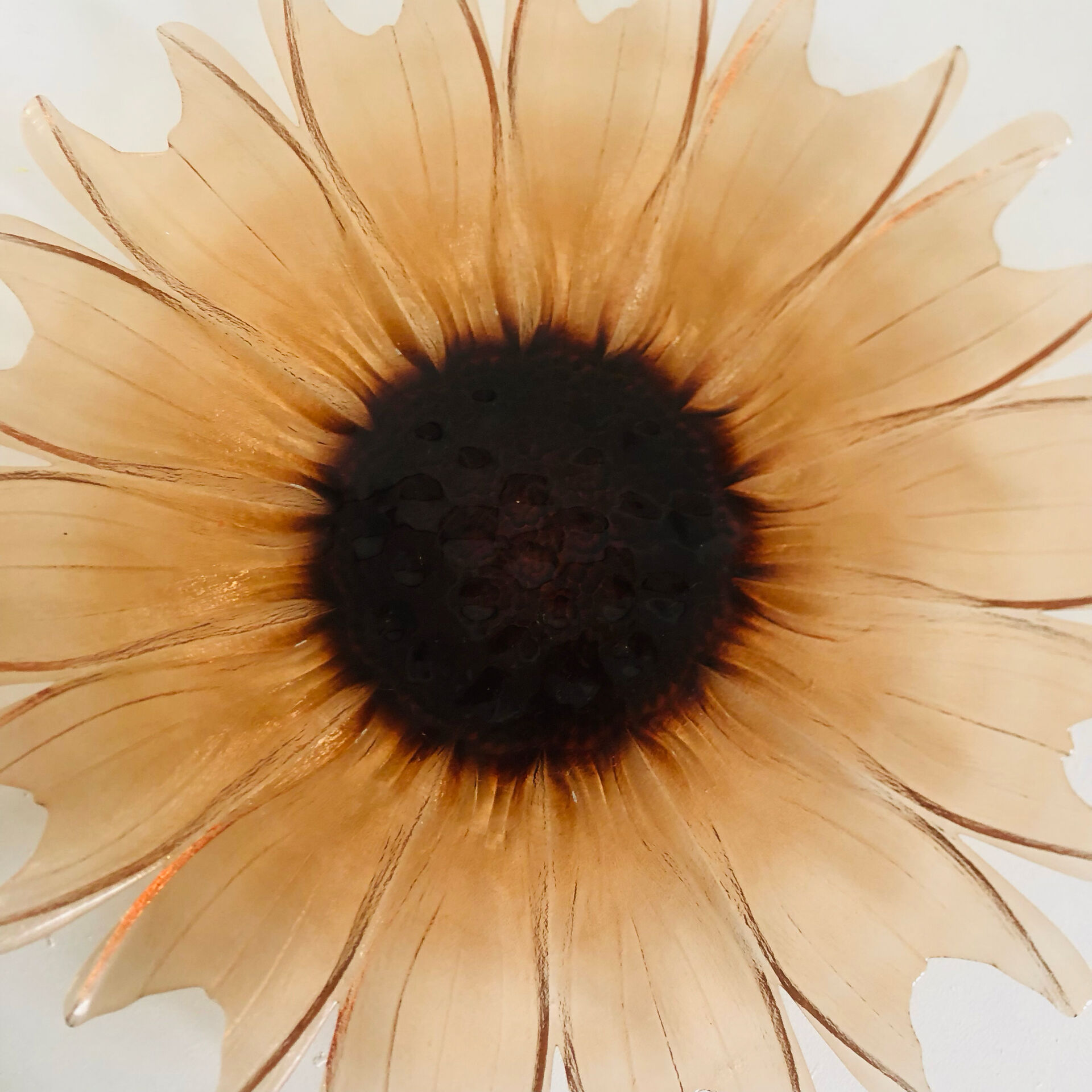 Plat tournesol en verre moulé pressé circa 1960
