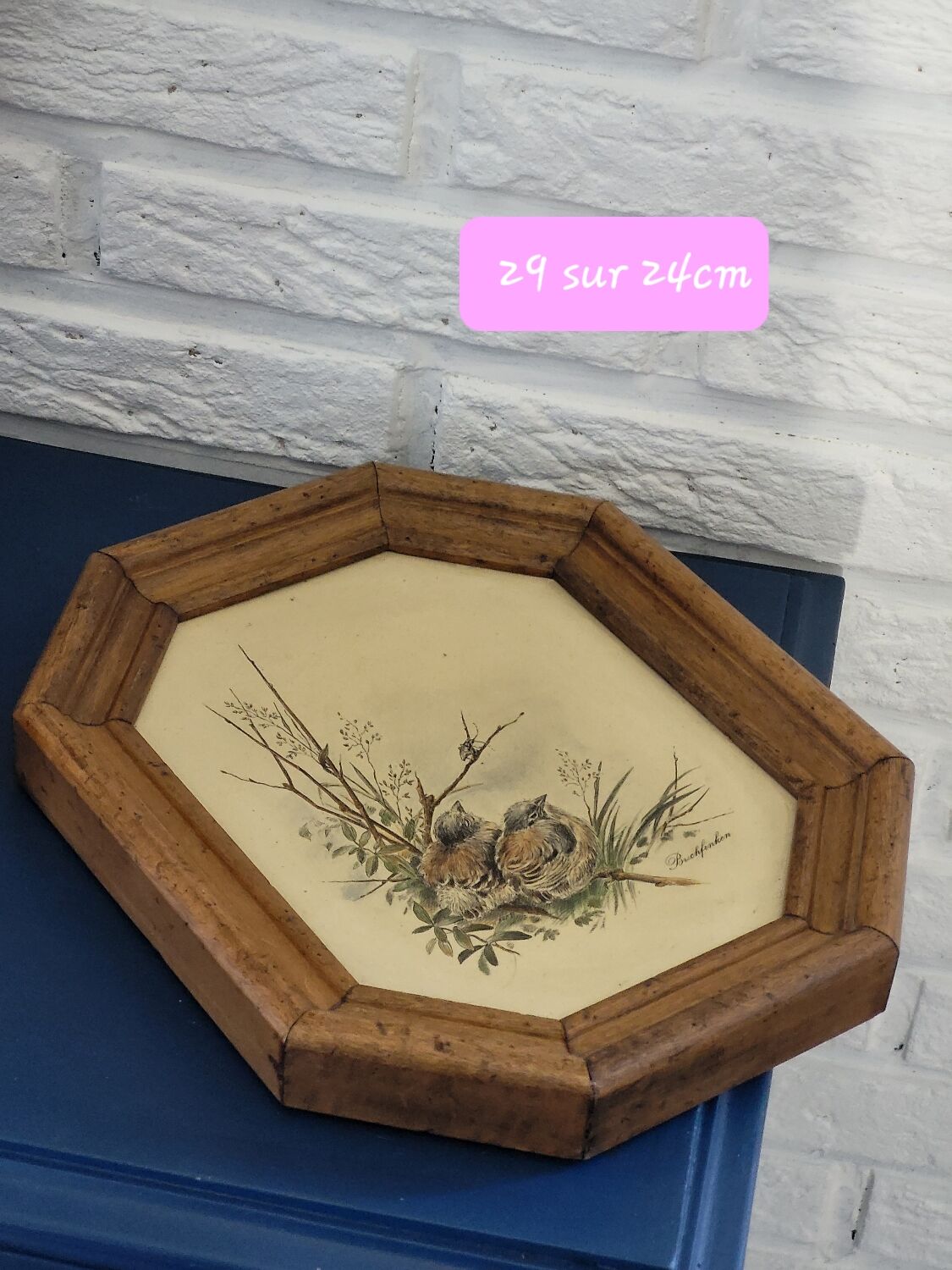 Illustration oiseaux vintage sur panneau