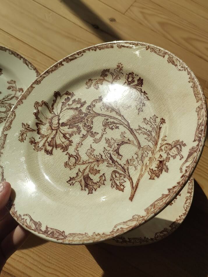Datura plates iron earth