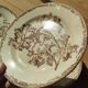 Datura plates iron earth