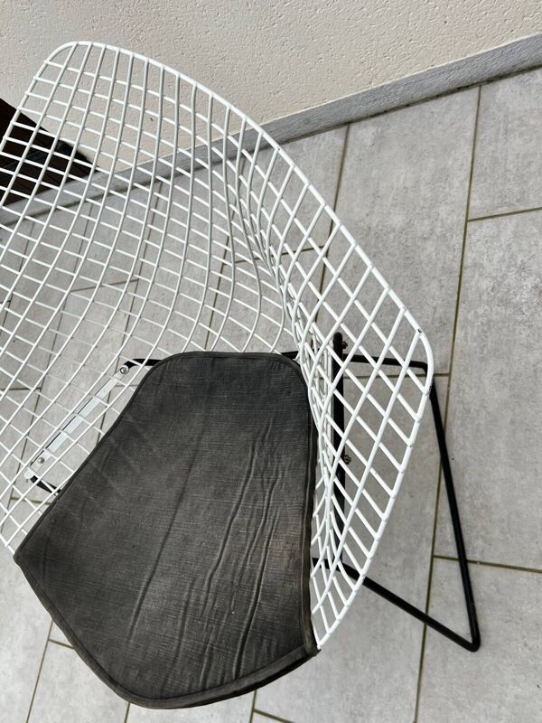Fauteuil Diamond avec galette par Harry Bertoia pour Knoll