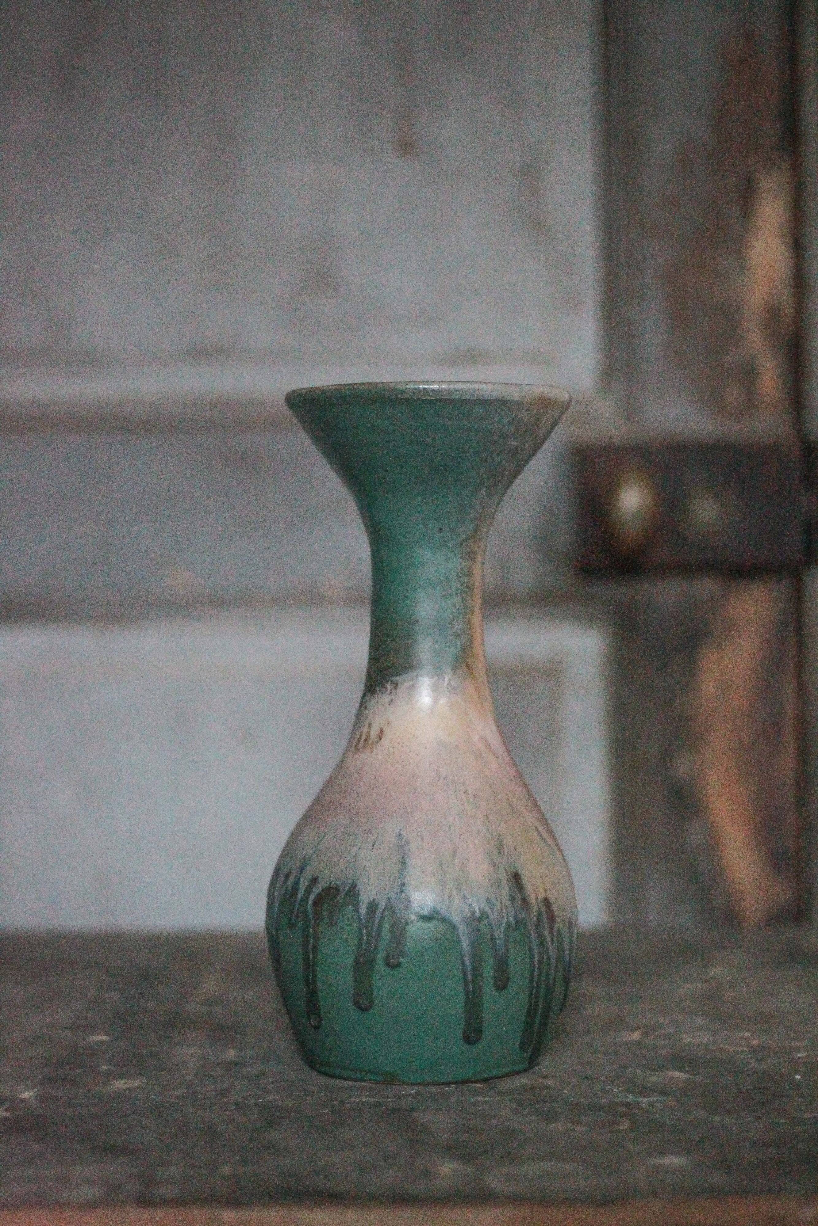 Taxidermy wild boar head, wild boar, hunting trophy, wall decoration.