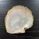 Mother-of-pearl shell pocket