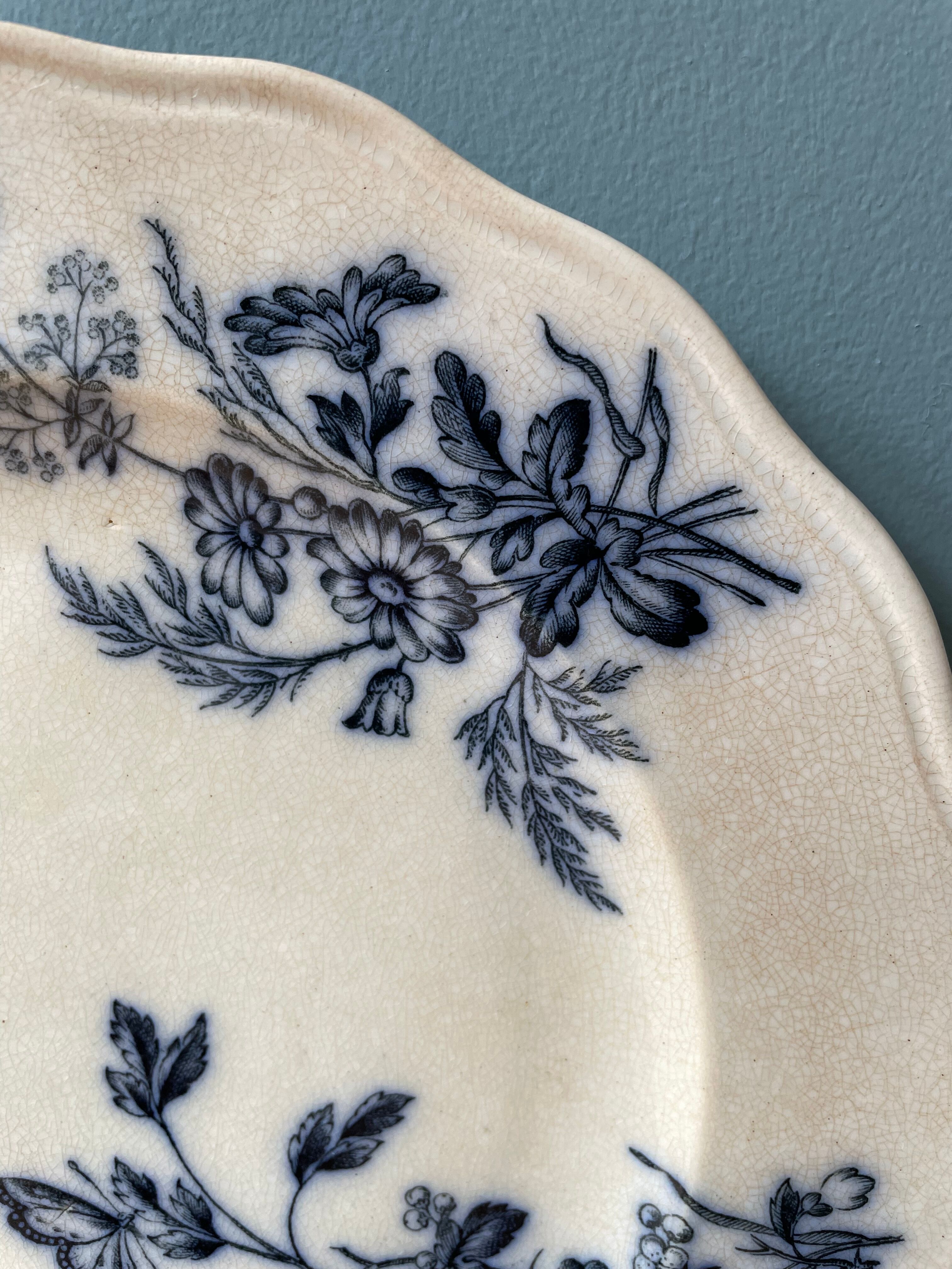 Assiette ancienne anglaise b.w.m & co, collection « salopia » xixème