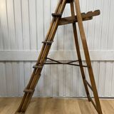 19th century library stepladder
