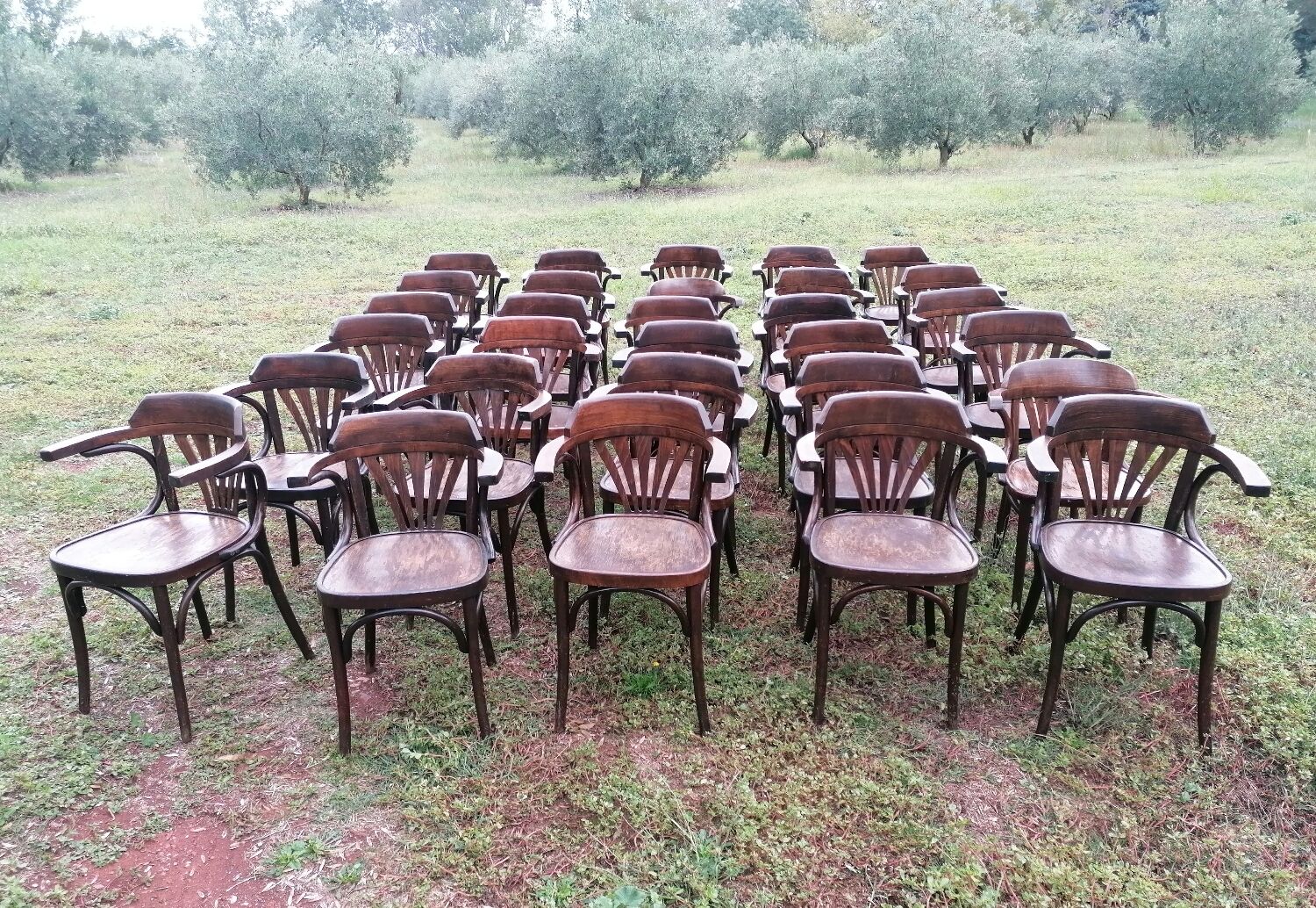 Set of 30 vintage bistro armchairs