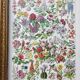 Illustration ancienne Millot "Fleurs d'arbres"