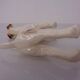 Porcelain Figurine of Fox Terrier, Denmark, 1950s