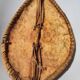 Vintage African Maasai Shield