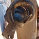 Important antelope mask - Bobo Tribe Burkina Faso