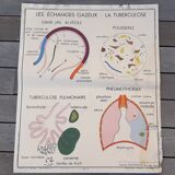 Rossignol educational poster