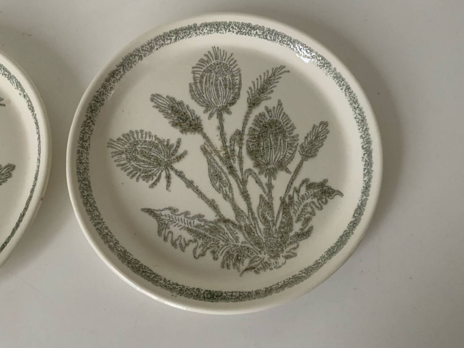 Duo of thistle plates