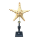 Starfish on a turned wooden base, late 19th century - cabinet of curiosities