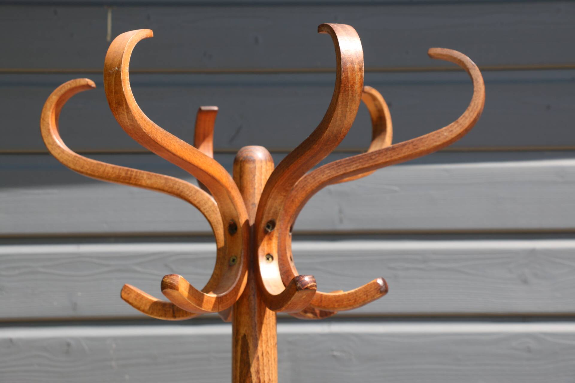 Dark BAUMANN parrot coat rack (A3)