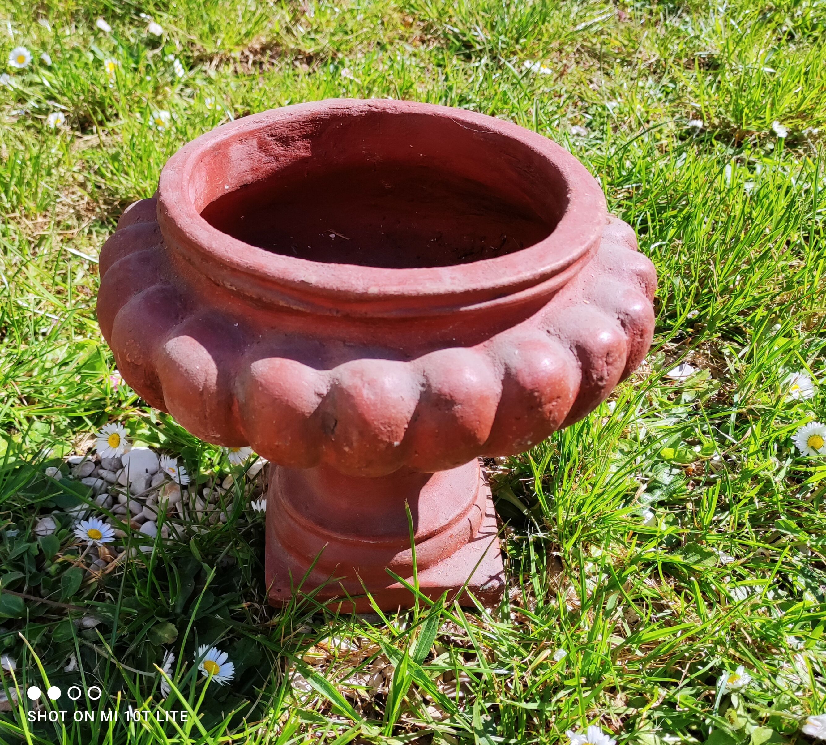 Médici pot in terracotta