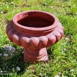 Médici pot in terracotta