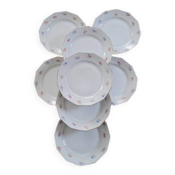 Twelve-panel floral plates

1960s.