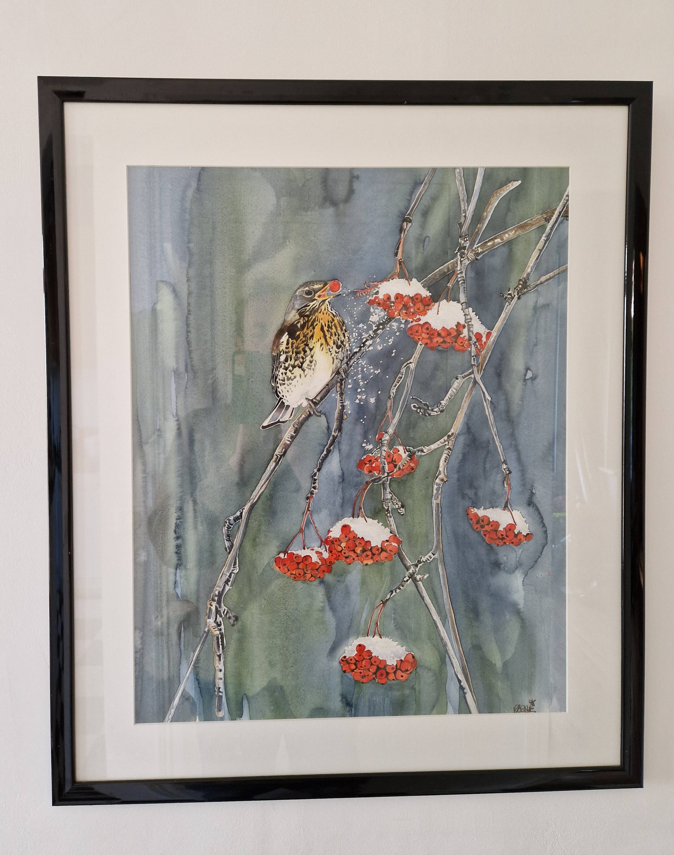 Original framed watercolor bird on snowy rowan tree