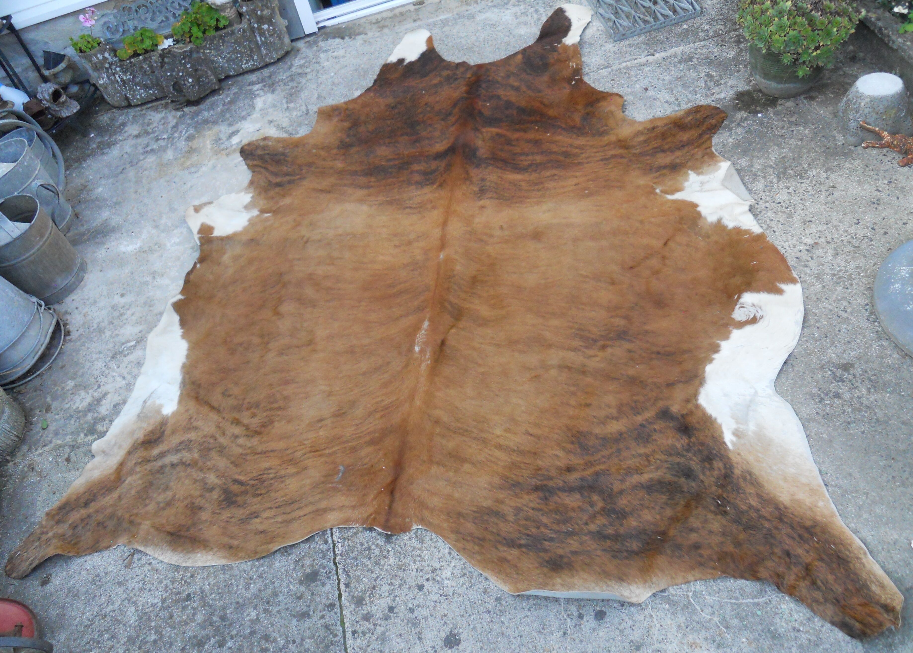 Cowhide