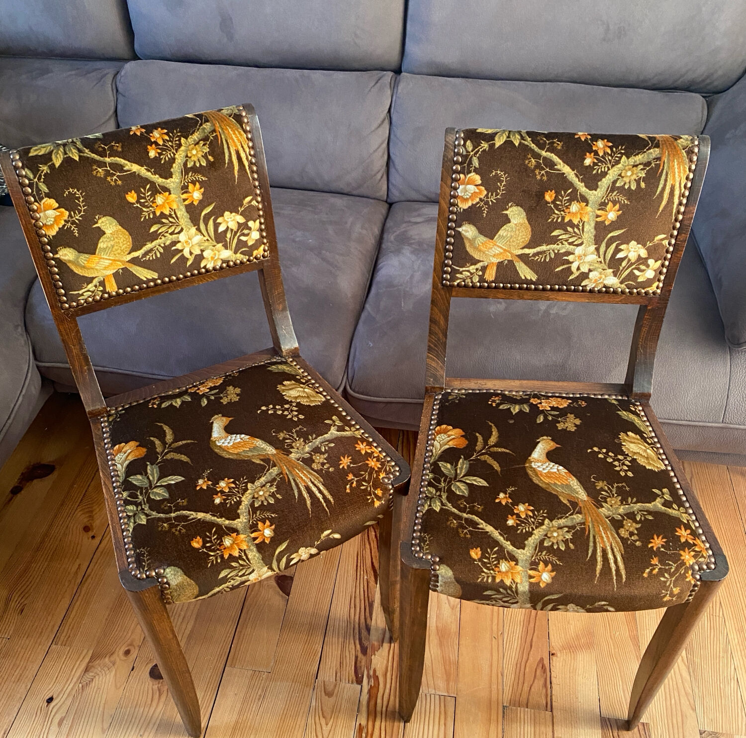 Set de 2 chaises vintage en velours oiseaux 1960-1970, état comme neuf.