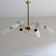 Chandelier brass and tulip glass