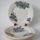 Set of 5 flat plates in terre de fer salins 19th century